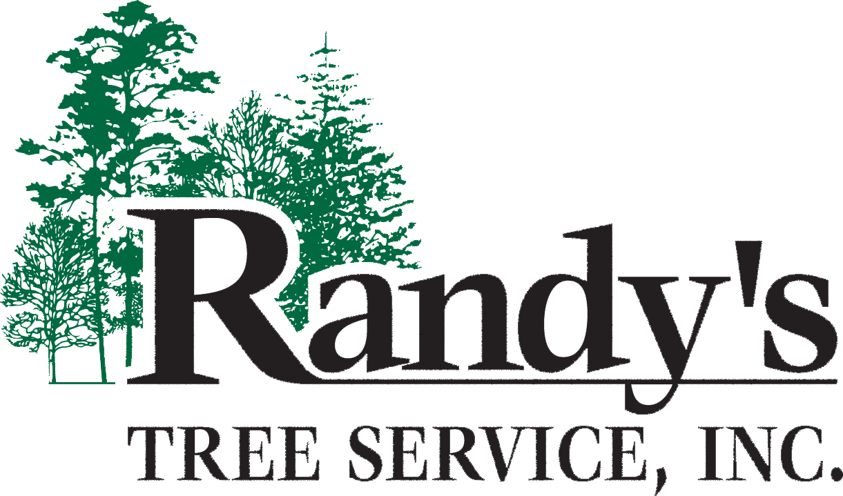 Randy's Tree Service